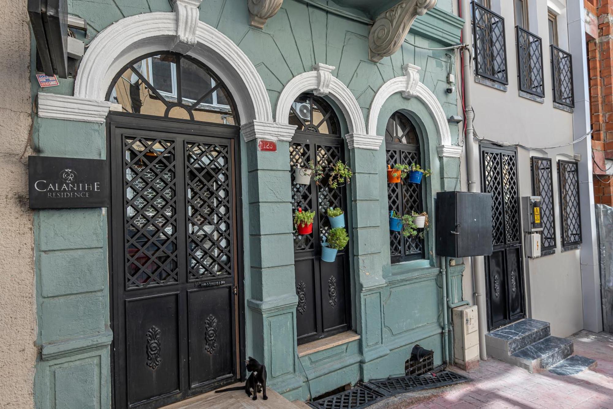 Calanthe 3* Istambul